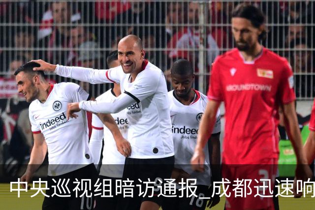 中央巡视组暗访通报 成都迅速响应立案拟顶格处罚